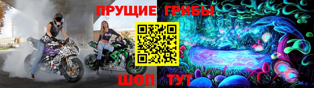 Галлюциногенные грибы Cubensis  продажа наркотиков  Лыткарино  Вход с VPN 